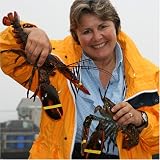 Two Very Alive Maine Lobsters, 1 1/4 pound each