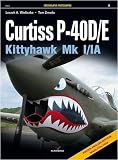 Curtis P-40D/E (Photosniper)