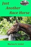 Just Another Race Horse