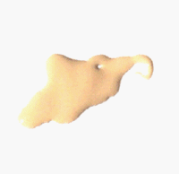 Illuminare Moisturizing Mineral Foundation - Portofino Porcelain (0.5 oz)