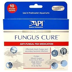Aquarium Pharmaceuticals 16P Fungus Cure Anti-Fungal Fish Medication (Pack of 10)