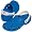 Sea Blue/Pearl White : Duke