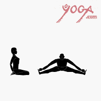 iyengar yoga video vhs