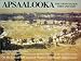 Apsaalooka: The Crow Nation Then and Now