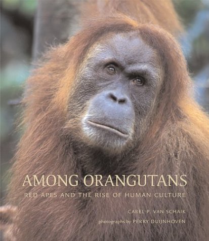 Mammals