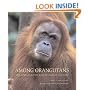 Among Orangutans: Red Apes and the Rise of Human Culture