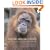 Among Orangutans: Red Apes and the Rise of Human Culture