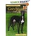 Pet Owner's Guide to the Greyhound