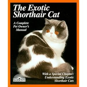 The Exotic Shorthair Cat: Everything About Acquisition, Care, Nutrition, Behavior, Health Care, and Breeding (More Complete Pet Owner's Manuals)