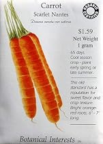 Carrot Scarlet Nantes Certified Organic Heirloom Seeds 300 Seeds