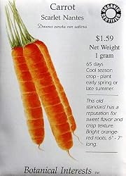Carrot Scarlet Nantes Certified Organic Heirloom Seeds 300 Seeds
