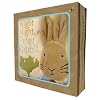 Night, Night, Peter Rabbit (Potter)