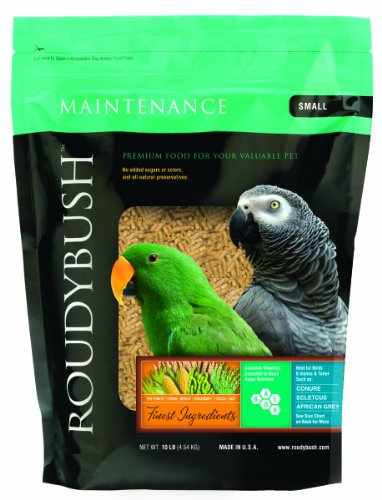 Roudybush Daily Maintenance Bird Food, Small, 10-Pound