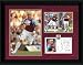 Dean Ashton Framed 16x12 Player Profile Photograph, West Ham United FC