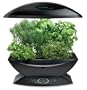 AeroGarden 900310-1200 6 with Gourmet Herb Seed Kit, Black
