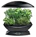 AeroGrow AeroGarden 6 with Gourmet Herb Seed Kit, Black