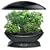 AeroGarden 900310-1200 6 with Gourmet Herb Seed Kit, Black
