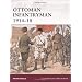 Ottoman Infantryman 1914-18 (Warrior)
