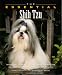 The Essential Shih Tzu (Essential Guide)