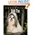 The Essential Shih Tzu (Essential Guide)