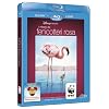 Il Mistero Dei Fenicotteri Rosa (Blu-Ray+E-Copy)