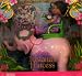 Barbie Island Princess KELLY & Tika Elephant Pink (2007)