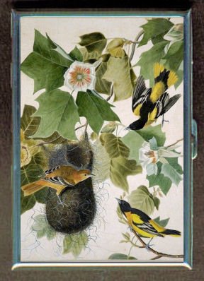 ID CREDIT CARD HOLDER OR CIGARETTE CASE: JOHN J. AUDUBON BALTIMORE ORIOLE BY PENNY SILVER