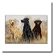 Labs Labrador Retriever Bath Mat or Rug by Blonder Home Accents