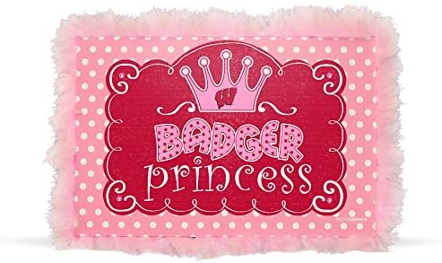 Wisconsin Badgers 8x12 Princess Canvas Print