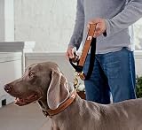 4' Nascar Leash