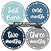Baby Monthly Milestone Stickers - First Year Set of Baby Boy Month Stickers for Photo Keepsakes - Shower Gift - Set of 20