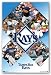 Tampa Bay Rays Poster 22.5x34 Team Collage Mlb 4897