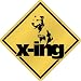 New  American Pit Bull Terrier X-Ing / Xing  Crossing Dog