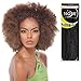 Janet Collection Noir 2X Afro Kinky Bulk 24