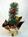 Decorated Christmas Rosemary Tree - FANTASTIC GIFT - 6