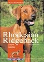 Rhodesian Ridgeback: Charakter, Erziehung, Gesundheit