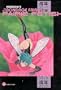 New Bondage Fairies: Fairie Fetish