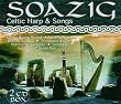 Celtic Harp & Songs