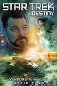 Star Trek - Destiny 3: Verlorene Seelen
