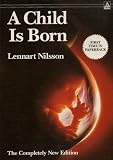 A Child is Born