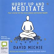 Hurry Up and Meditate | [David Michie]