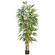6' Belly Bamboo Silk Tree