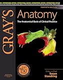 Gray's anatomy : the anatomical basis of clinical practice
