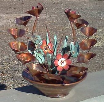 Double Cattail Medium