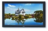 Produkt-Bild: NEC MultiSync V321 80cm 32Zoll analog+digital HDMI 3000:1 450cd/m2 8ms LCD ohne Fuss black