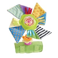 Early Years Pinwheel Stroll Along Toy