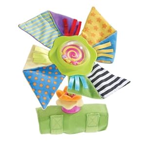 Early Years Pinwheel Stroll Along Toy