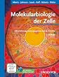 Molekularbiologie der Zelle