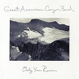 UPC 657036123311 product image for Only You Remain [LP] | upcitemdb.com
