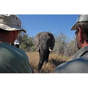 African Safari [Combo Blu-ray 3D + DVD]